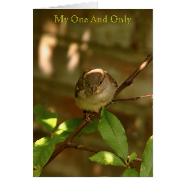 私の唯一無二 (正面)