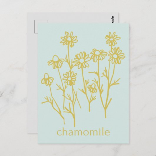 私の営業カモミールをサポートしてくれてありがとう ポストカード (正面/裏面)