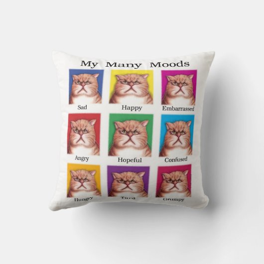 私の多くの気分の枕 クッション (裏面)