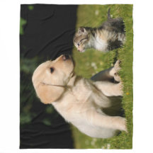 私の大きな兄さん