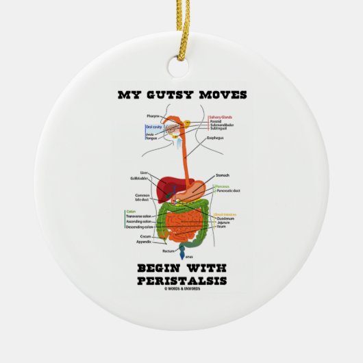 私の大胆な移動は蠕動から始まります(消化が良い) セラミックオーナメント (正面)