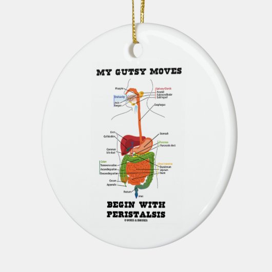 私の大胆な移動は蠕動から始まります(消化が良い) セラミックオーナメント (左)