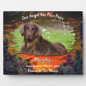 私の天使は4本の足 サンセット 2584 フォトプラーク (正面)