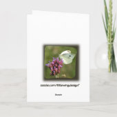 私の女の子のポメラニア犬の挨拶状 カード (裏面)