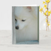 私の女の子のポメラニア犬の挨拶状 カード (黄色い花)