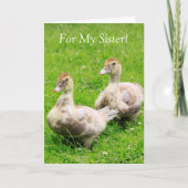 私の妹の癌はアヒルをサポートするために カード (正面)