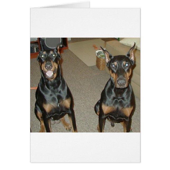 私の子供 (正面)