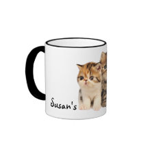 "私の子猫"のChubsおよびBubsの子ネコ