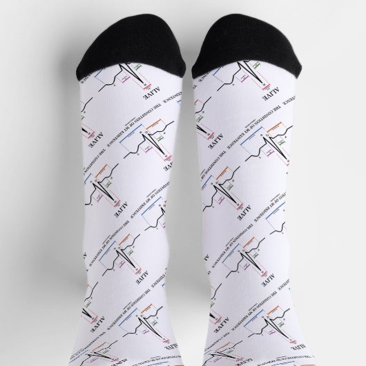 私の存在の洞リズムの状態を生き延ばす ソックス (上部)