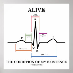 私の存在の状態を生きる(ECG/EKG) ポスター