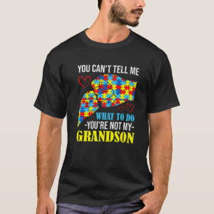 私の孫の自閉症はあなたは言えない Tシャツ
