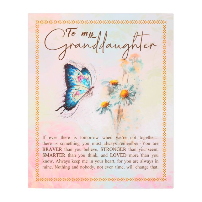 私の孫娘ギフトには、かわいい蝶の恋人のギフト メタルプリント (正面)