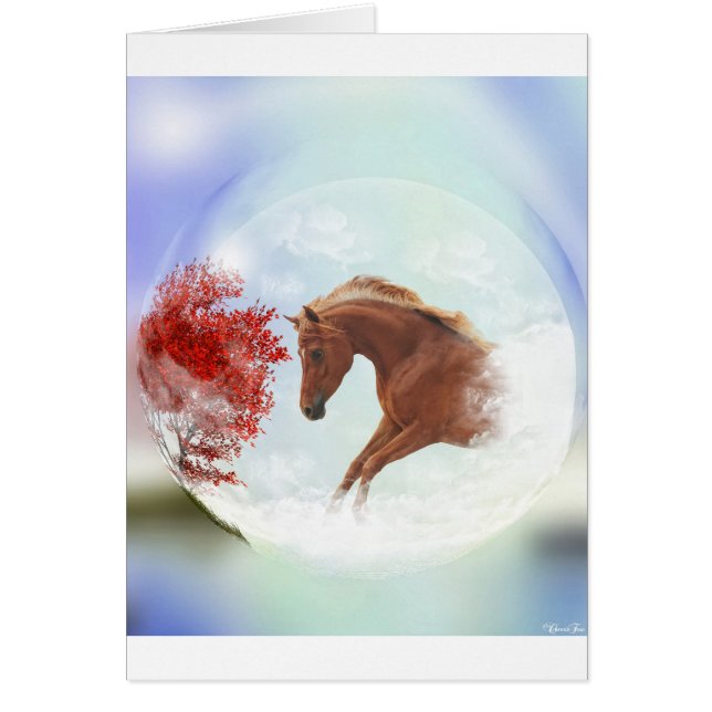 私の完全な夢 (正面)