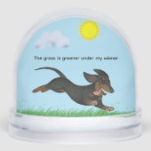 私の家の下では草の色が濃い (正面)