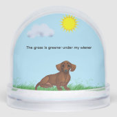 私の家の下では草の色が濃い (正面)