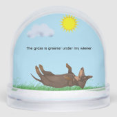 私の家の下では草の色が濃い (正面)