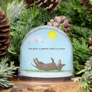 私の家の下では草の色が濃い