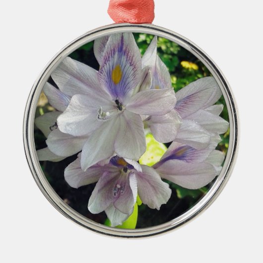 私の小さな水の庭の植物 メタルオーナメント (正面)