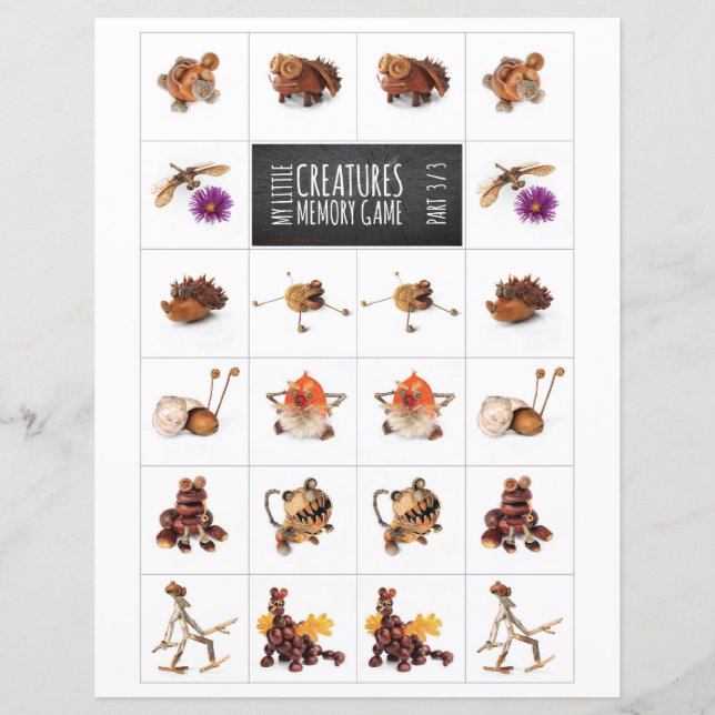 私の小さな生き物メモリゲーム3/3 (正面)