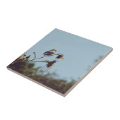 私の小さな訪問者を持っている。#bird #nature #wildlife タイル (側面)