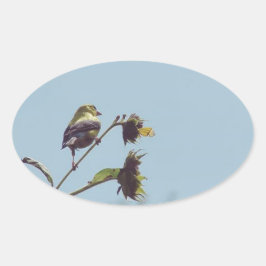 私の小さな訪問者を持っている。#bird #nature #wildlife 楕円形シール