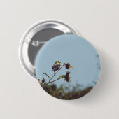 私の小さな訪問者を持っている。#bird #nature #wildlife 缶バッジ (正面&裏面)