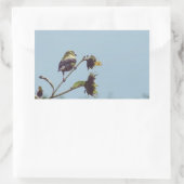 私の小さな訪問者を持っている。#bird #nature #wildlife 長方形シール (バッグ)