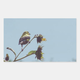 私の小さな訪問者を持っている。#bird #nature #wildlife 長方形シール