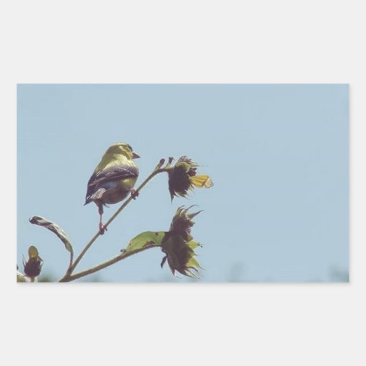 私の小さな訪問者を持っている。#bird #nature #wildlife 長方形シール (正面)