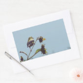 私の小さな訪問者を持っている。#bird #nature #wildlife 長方形シール (封筒)