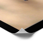 私の小さな《鳥》アメリカゴガラ ポスター (角)