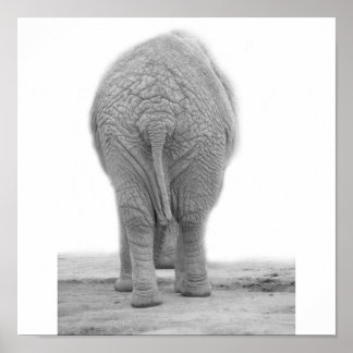 私の尻は大きく見える ポスター