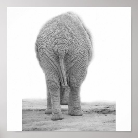 私の尻は大きく見える ポスター (正面)