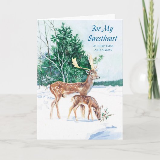 私の常の恋人のためクリスマスのそして シーズンカード (正面)