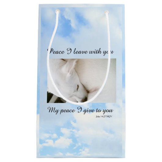 私の平和与え雲の中であなた聖書の聖句 スモールペーパーバッグ (正面)