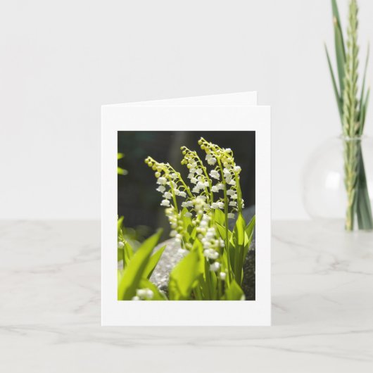 私の庭からの谷のユリ…. カード (正面)