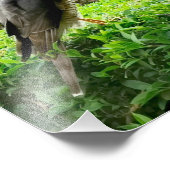 私の庭のスパーロワーク フォトプリント            (角)