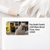 私の後ろだ…そうだろ？ ラベル (インサイチュ)