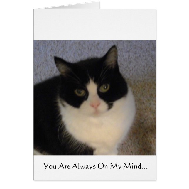 私の心に常にあります (正面)