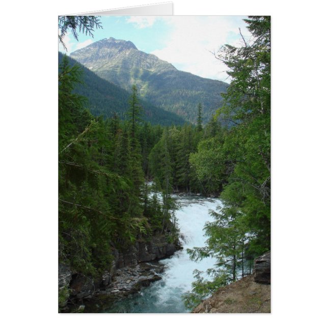 私の心のモンタナ (正面)