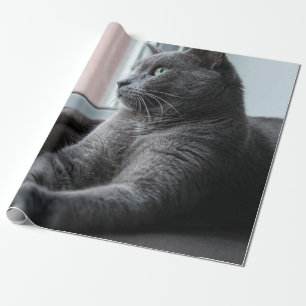 私の恋人のルーターが子猫を救った ラッピングペーパー