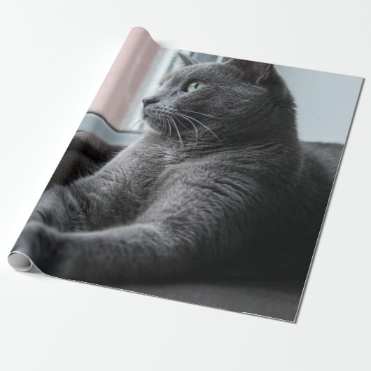 私の恋人のルーターが子猫を救った ラッピングペーパー (アンロールド)