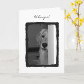 私の悪い状態 カード (黄色い花)