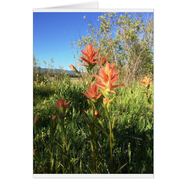 私の悪魔のペイントブラシ (正面)