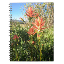 私の悪魔のペイントブラシ ノートブック