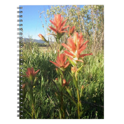 私の悪魔のペイントブラシ ノートブック (正面)