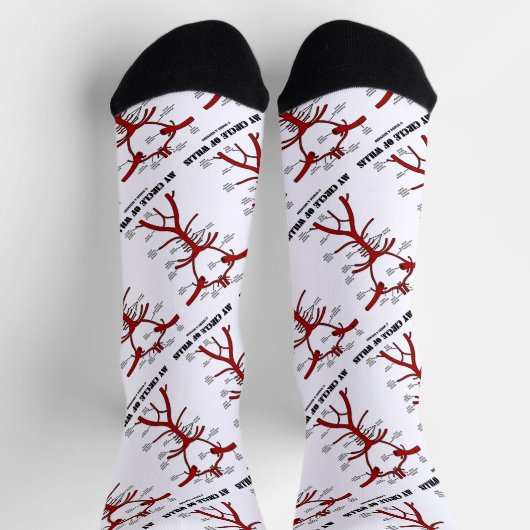 私の意志の輪は解剖学的血液循環 ソックス (上部)