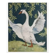 私の愛する白鳥