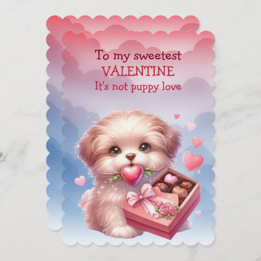 私の愛らしいバレンタイン 子犬の愛 シーズンカード (正面/裏面)