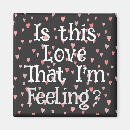 私の愛感じか？マグネット マグネット (正面)